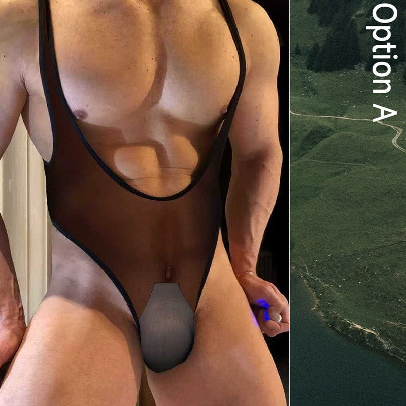 Wholesale Mens Sexy Transparent Leotard Bodysuit, See-through Slim Jumpsuit Gay Underwear